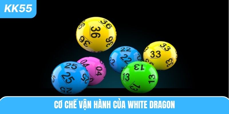 Cơ chế vận hành của White Dragon